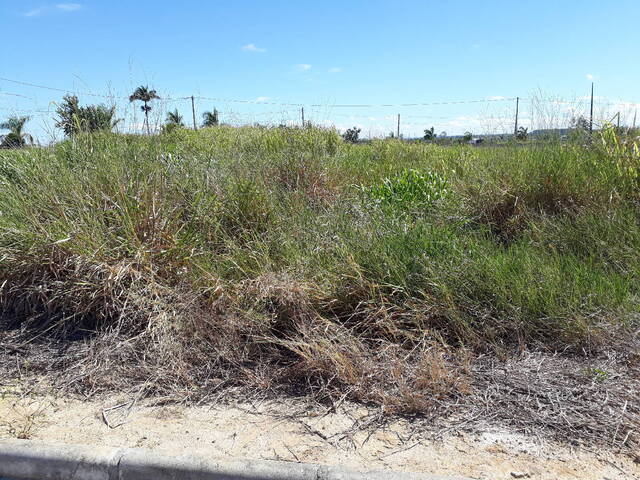 #T495 - Terreno para Venda em Eunápolis - BA - 1