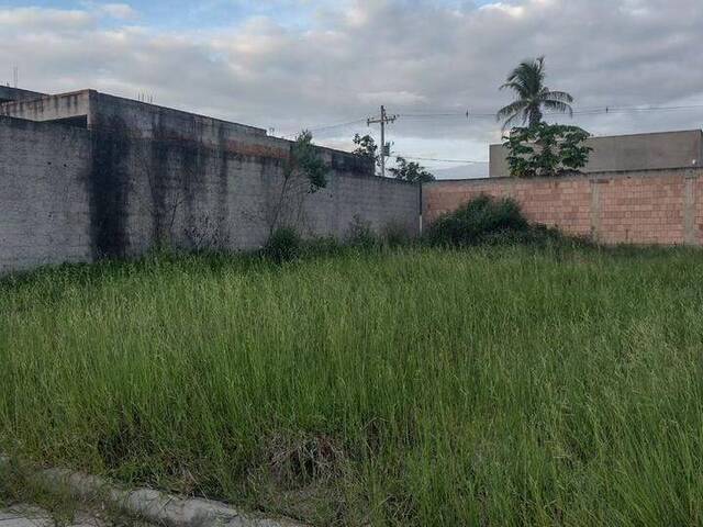 Venda em Parque das Flores - Eunápolis