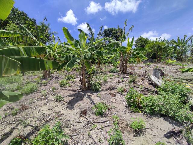 Terreno para Venda em Eunápolis - 5