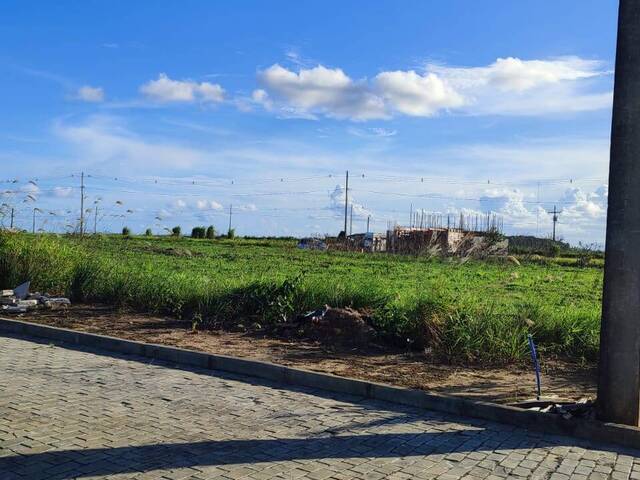 Terreno para Venda em Eunápolis - 5