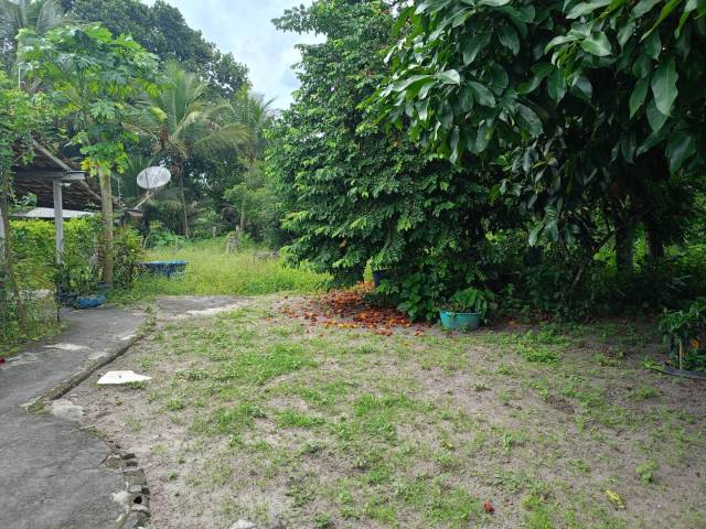 #S151 - Casa para Venda em Eunápolis - BA - 3