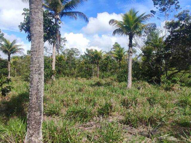#F98 - Fazenda para Venda em Santa Cruz Cabrália - BA - 2