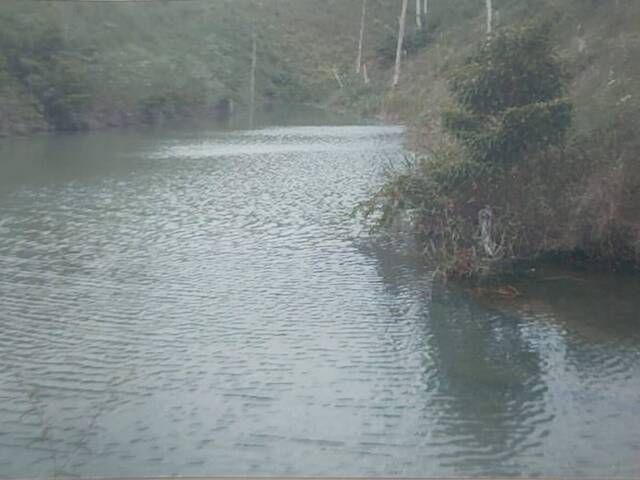 #F99 - Fazenda para Venda em Santa Cruz Cabrália - BA - 1