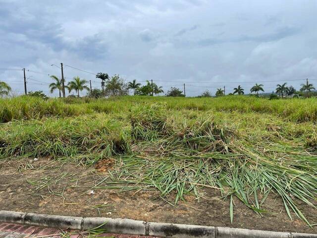 Terreno para Venda em Eunápolis - 5
