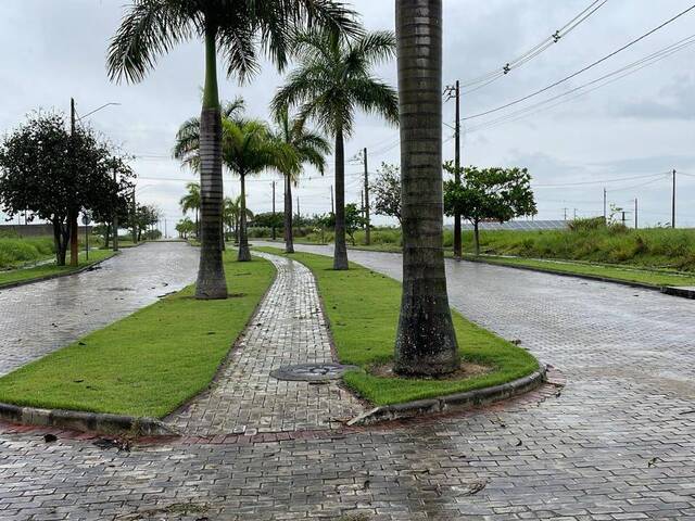 Terreno para Venda em Eunápolis - 2
