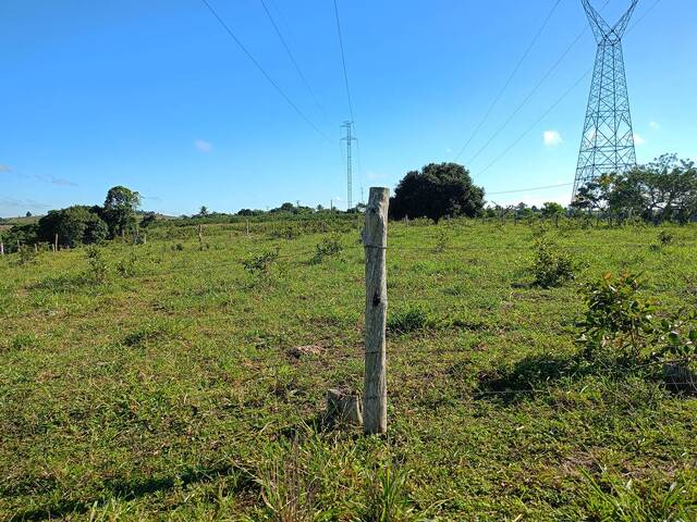 #F100 - Fazenda para Venda em Eunápolis - BA - 2