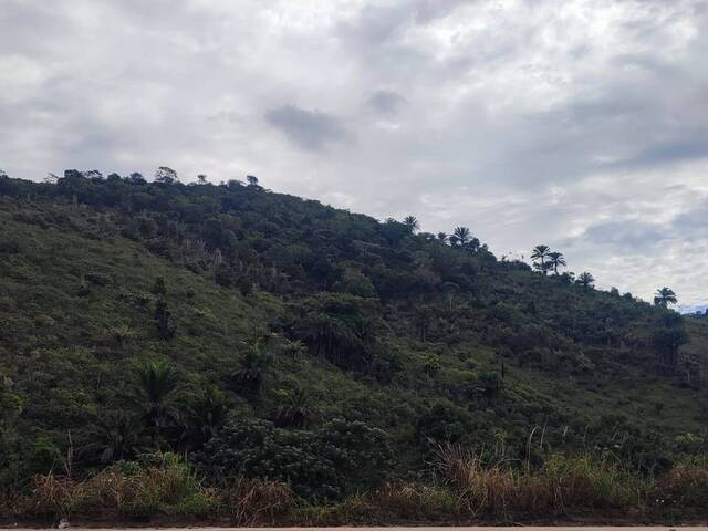 #F101 - Fazenda para Venda em Itabela - BA - 2